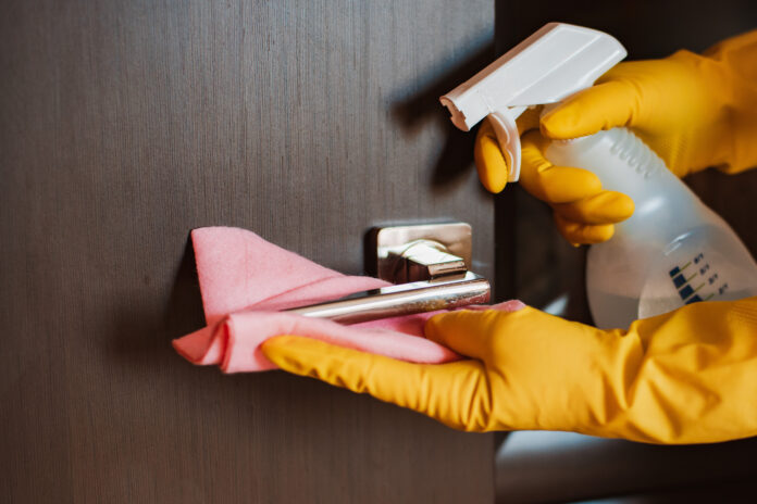 ferie lavoratori domestici