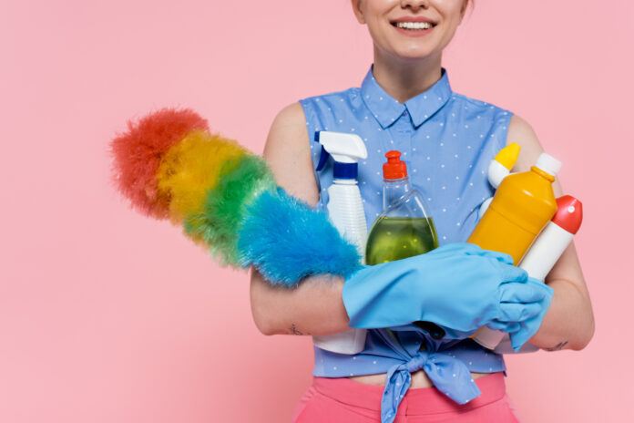 dichiarazione lavoratori domestici
