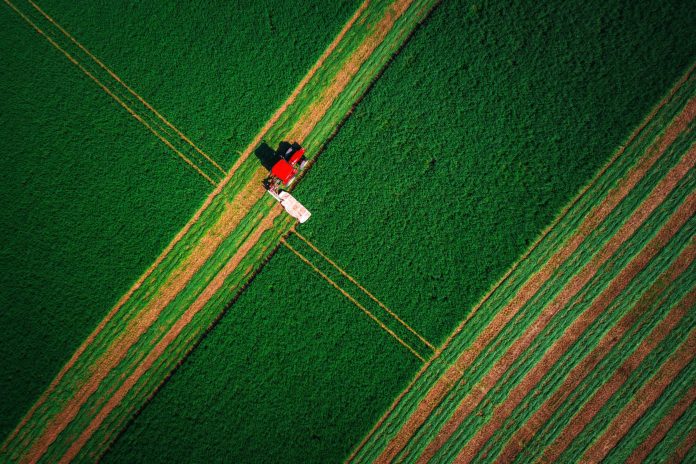 Entro il 30 settembre senza sanzioni il versamento dei contributi agricoli