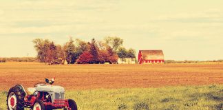 Detraibilità canoni di affitto per gli imprenditori agricoli