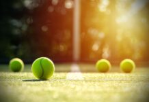 Il registro nazionale associazione sportive dilettantistiche (RASD): aspetti essenziali