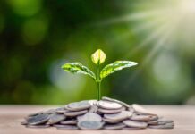 Sostenibilità finanziaria e variabili ESG. Quali collegamenti?