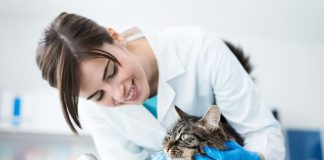 Spese veterinarie: pagamenti tracciabili e nuovo tetto di spesa