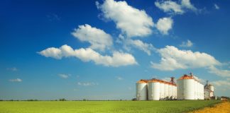 La disoccupazione agricola alla luce del decreto Cura Italia