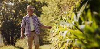 Esonero contributivo agricoltura: nuovo modulo per la presentazione delle istanze