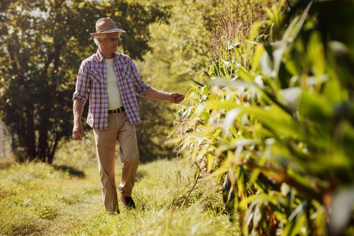 Esonero contributivo agricoltura: nuovo modulo per la presentazione delle istanze