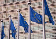 Forfettario e reddito da pensione estera: c’è compatibilità?