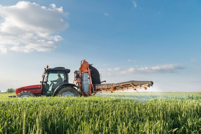 Il piccolo imprenditore agricolo può presentare il Modello 730?