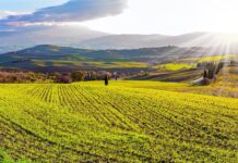 Prorogate anche per il 2023 le rivalutazioni su quote e terreni con una novità